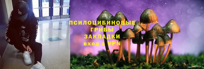 площадка формула  Костомукша  Галлюциногенные грибы MAGIC MUSHROOMS  кракен сайт 